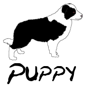 puppy